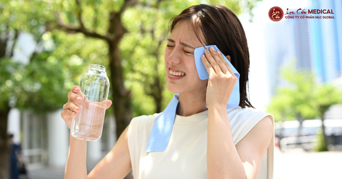 Khi Mùa Hè Nóng Bức Trở Thành _Cửa Ngõ_ Cho Hàn Khí