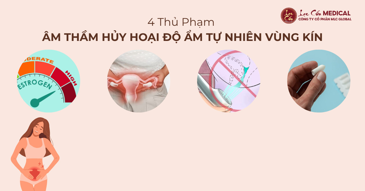 4 Thủ Phạm Âm Thầm Hủy Hoại Độ Ẩm Tự Nhiên Vùng Kín