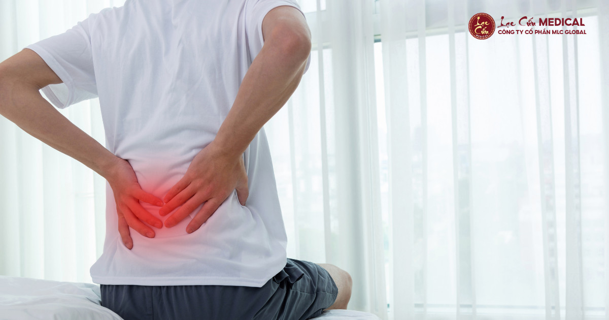 Đau Lưng Âm Ỉ_ Lời Cảnh Báo Không Thể Bỏ Qua Của Người Hiện Đại