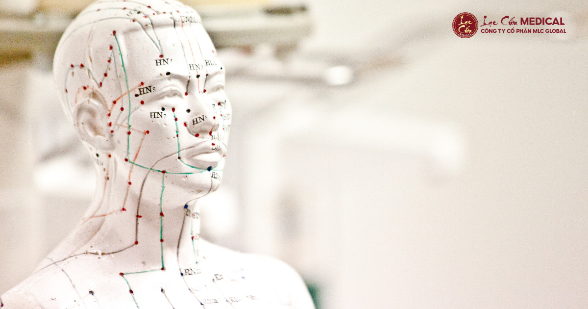 Kinh Lạc_ “Mạng Lưới” Năng Lượng Nuôi Dưỡng Sự Sống