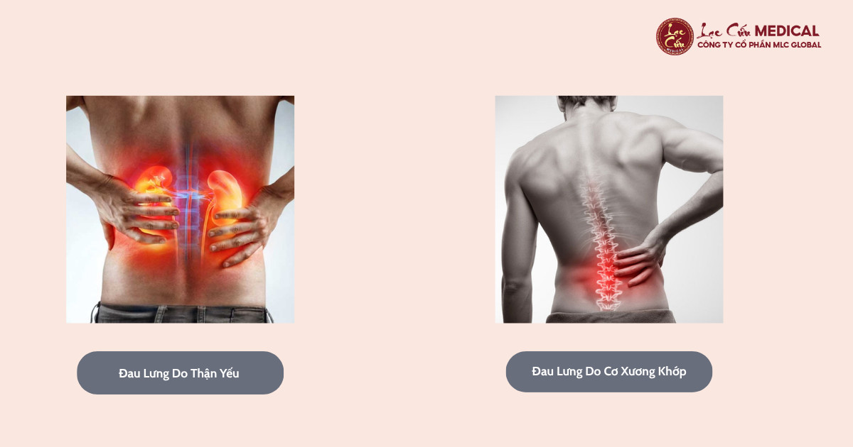 Phân Biệt Nguồn Gốc Cơn Đau Theo Đông Y