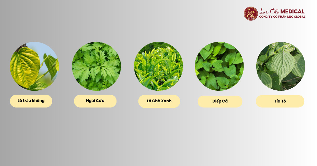 Tinh Hoa Dân Gian_ 5 Loại Thảo Dược _Vàng_ Cho Vùng Kín