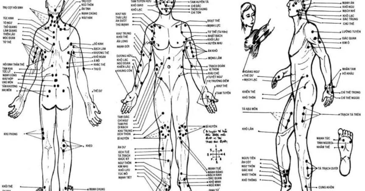 Bàn Tay Chính Là _Công Tắc_ Điều Hòa Khí Huyết và Tinh Thần Theo Đông Y