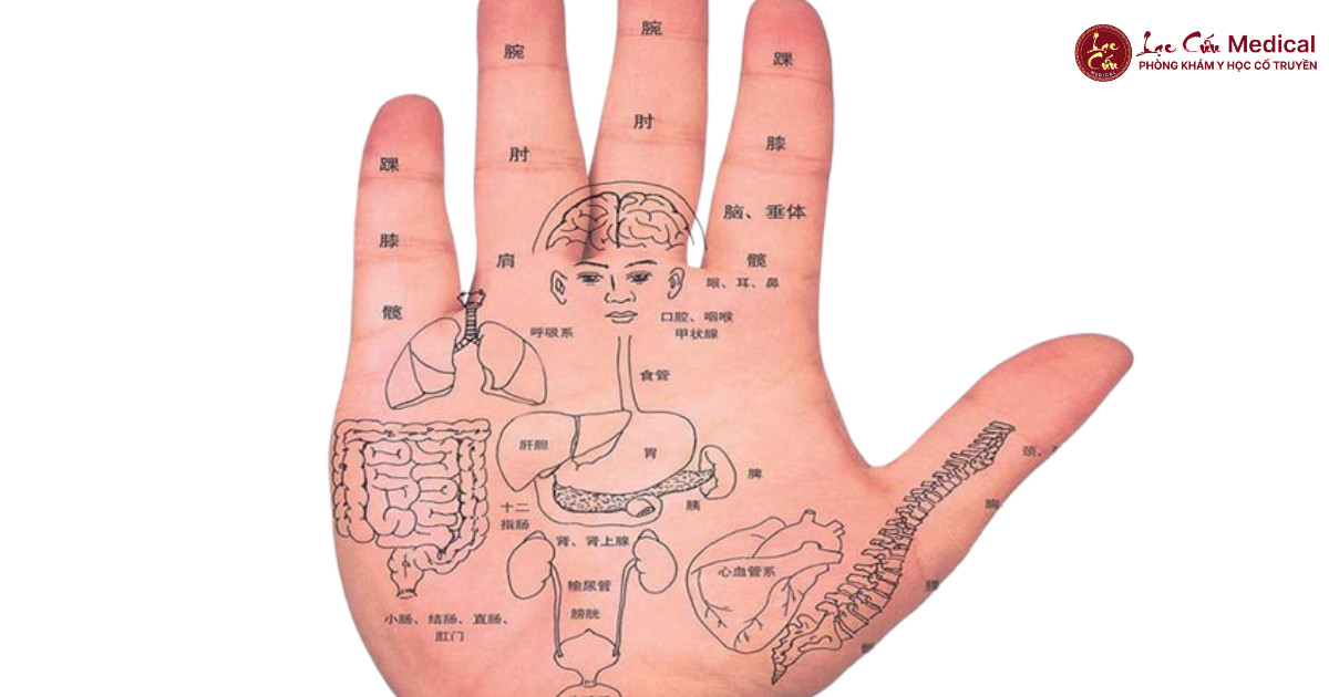 Giải Mã Sức Mạnh Của 3 Huyệt Đạo _Vàng_ Trên Bàn Tay