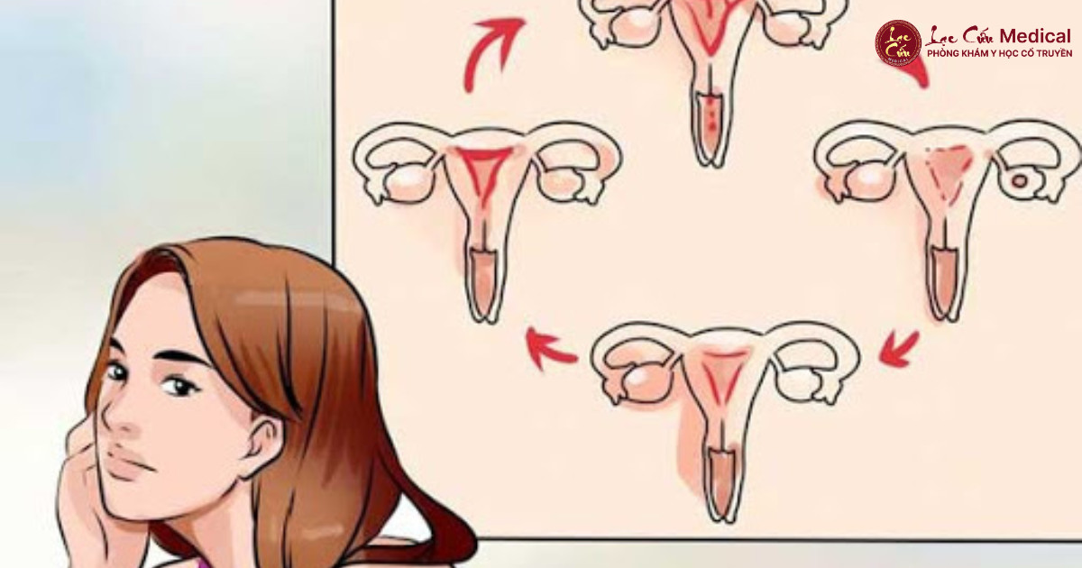 Nguyên Lý Gốc Rễ_ Khí Huyết và Tử Cung Mất Cân Bằng