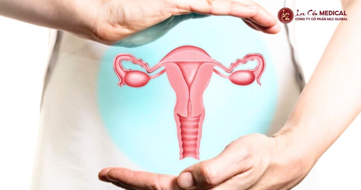 Tử Cung_ Khởi Nguồn Của Thanh Xuân Và Hạnh Phúc Nữ Giới