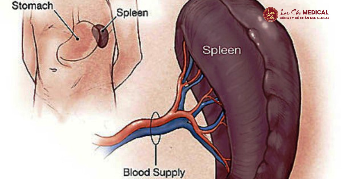Báo Động Đỏ_ Những Dấu Hiệu Tỳ Hư Mà Phụ Nữ Thường Bỏ Qua