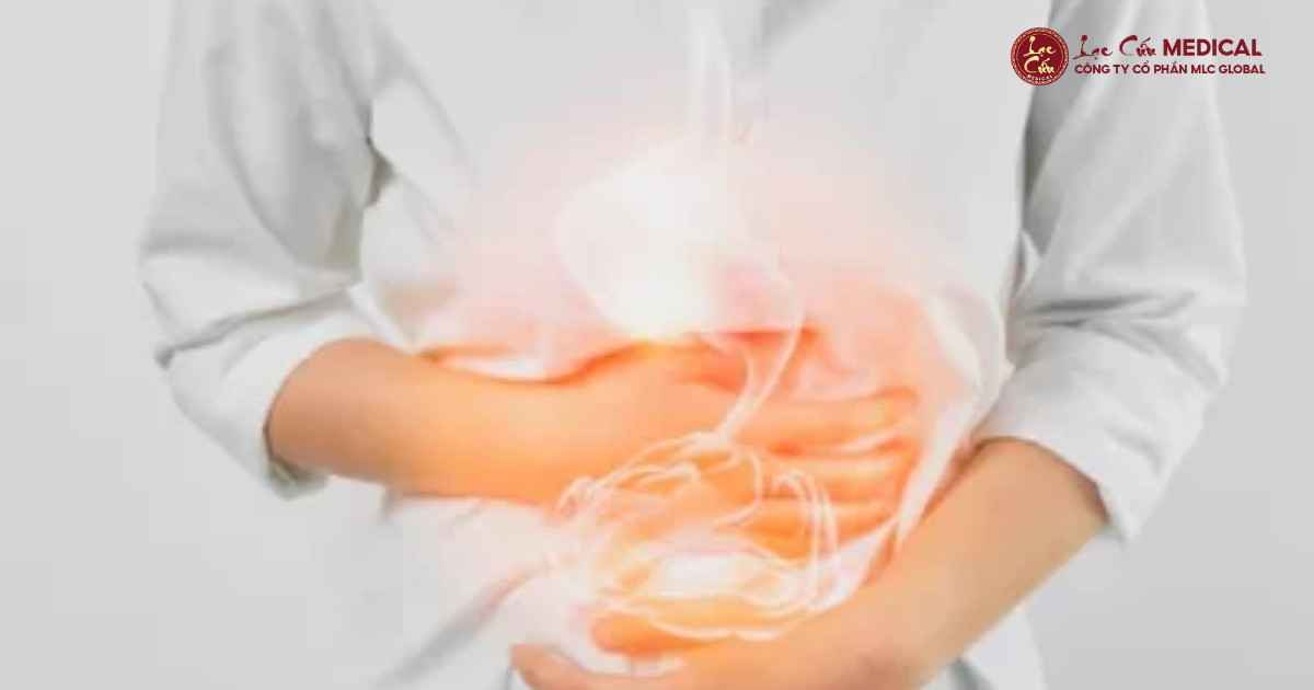 Tỳ Vị_ Nền Tảng Nuôi Dưỡng Nhan Sắc và Sức Khỏe Phụ Nữ