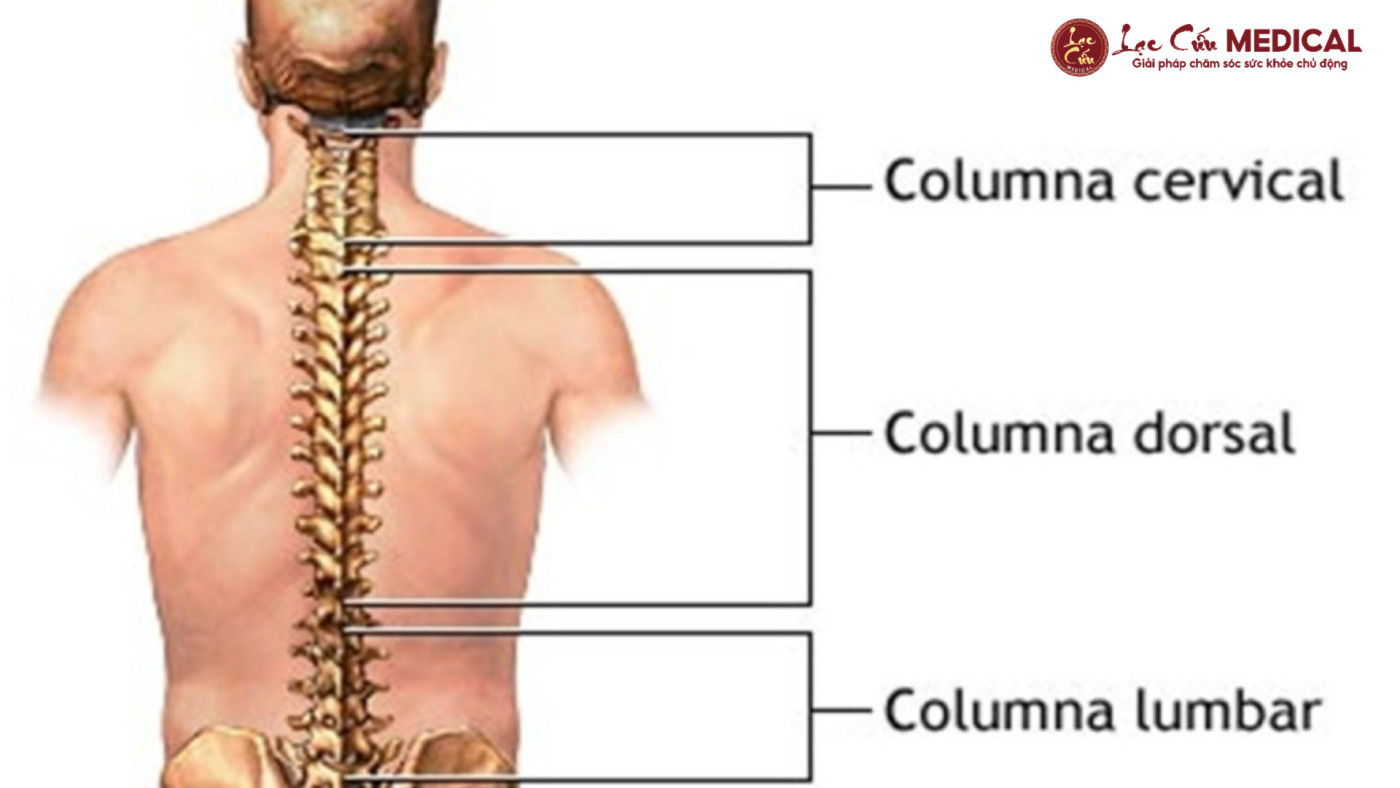 Góc Nhìn Đông Y_ Bí Mật Của Một Cơ Thể _Trơn Tru