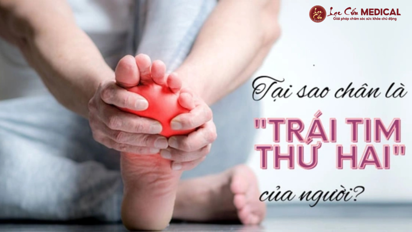 Tại Sao Đôi Chân Lại Là _Trái Tim Thứ Hai_ Của Cơ Thể