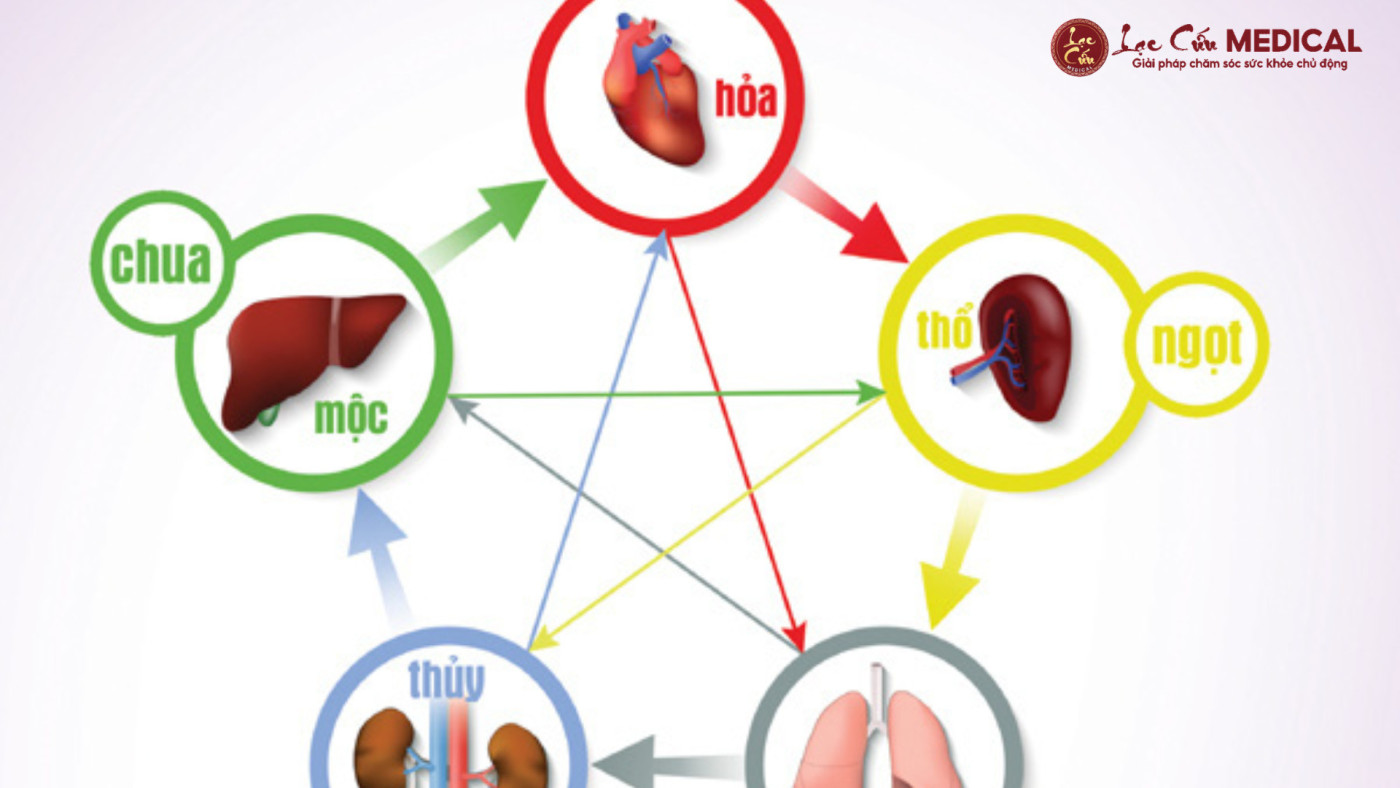 5 _Nút Thắt_ Khiến Tạng Khí Suy Yếu Dần