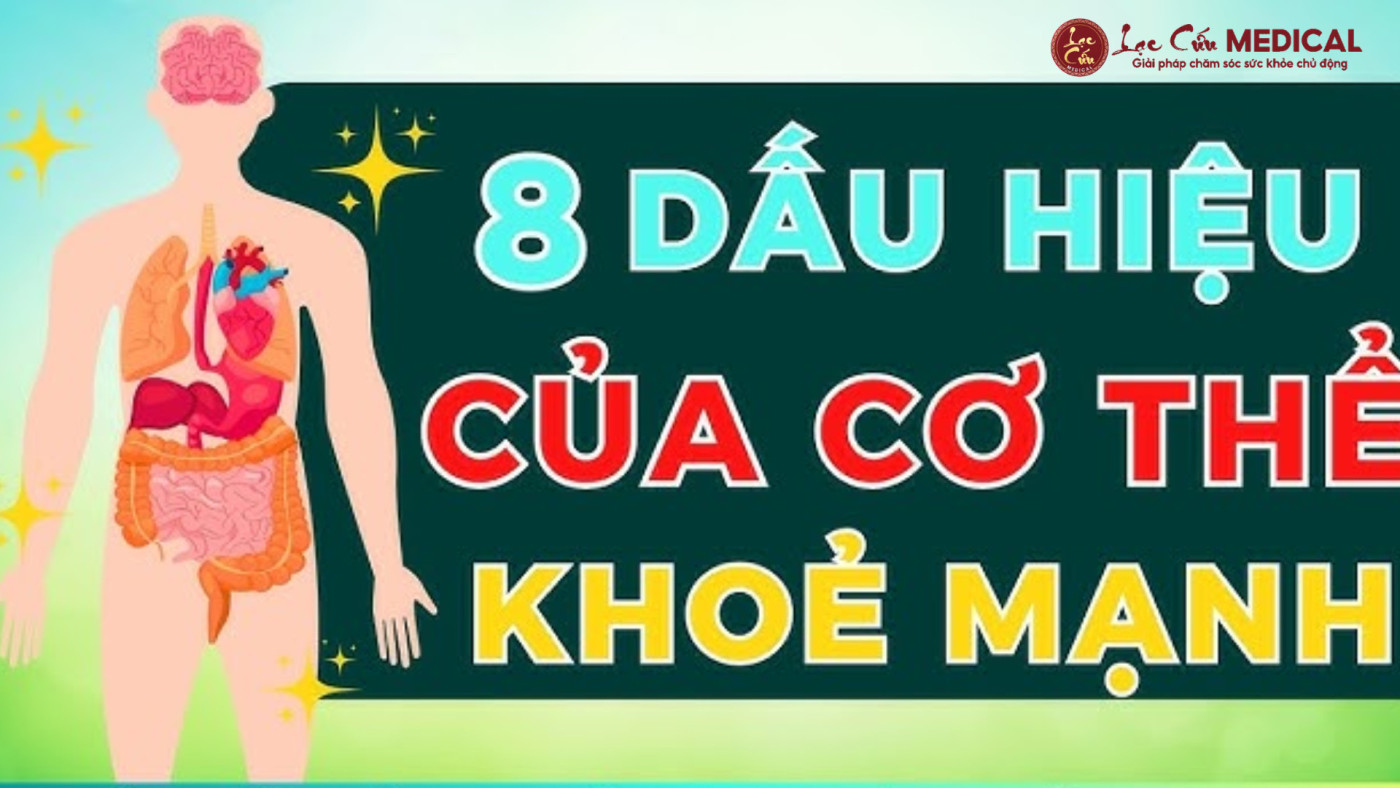 8 Dấu Hiệu Vàng Nhận Biết Cơ Thể Đang Vận Hành Hài Hòa