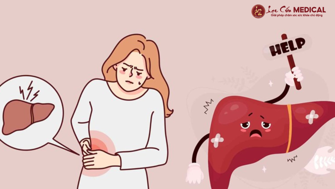 Tạng Gan – _Vị Kiến Trúc Sư_ Quyết Định Nhan Sắc