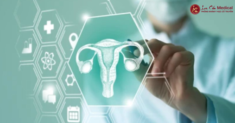 Sức Khỏe Phụ Khoa_ Nền Tảng Của Sự Tự Tin và Hạnh Phúc