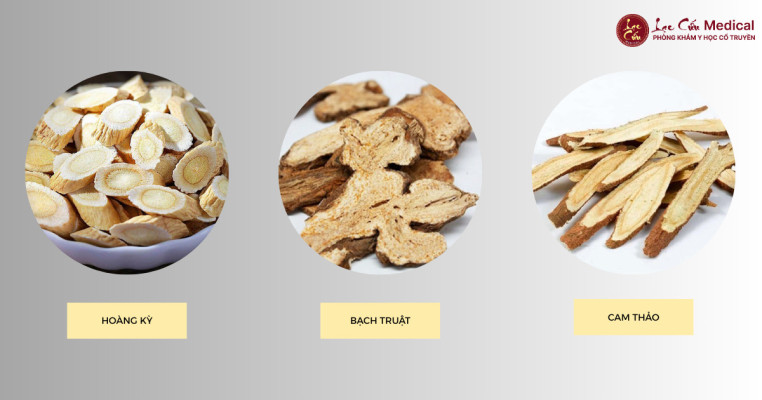 Bộ Ba Dược Liệu _Trụ Cột_ – Nền Tảng Nuôi Khí Huyết