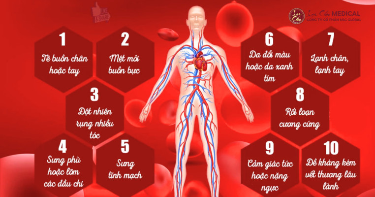 10 Dấu Hiệu Tuần Hoàn Máu Kém Bạn Tuyệt Đối Không Nên Bỏ Qua