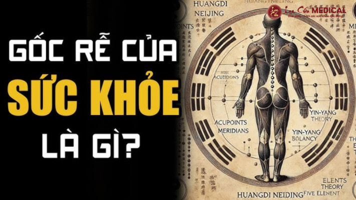 Sức Khỏe _Từ Gốc_ – Quan Niệm Đắt Giá Của Đông Y